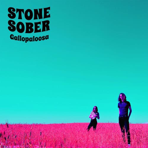 Stone Sober @ FZW