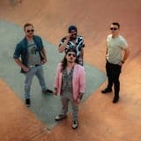Shady Fat Kats