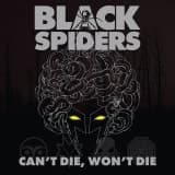Black Spiders