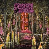 Carnal Tomb