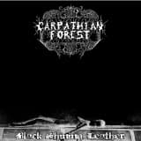 Carpathian Forest