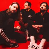 Dinosaur Pile-Up