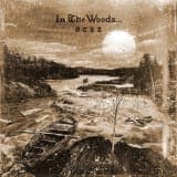 In the Woods...