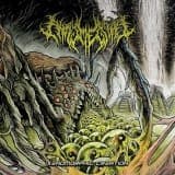 Phrymerial