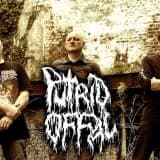 Putrid Offal