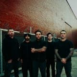 Stick To Your Guns