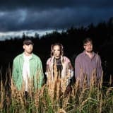 The Pinpricks