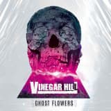Vinegar Hill