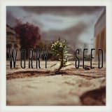 Worry Seed