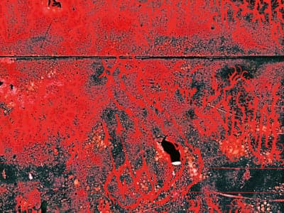 Concrete Winds