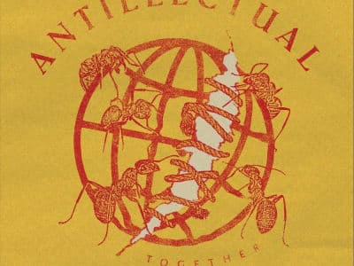 Antillectual