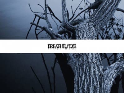 Breathe//Die