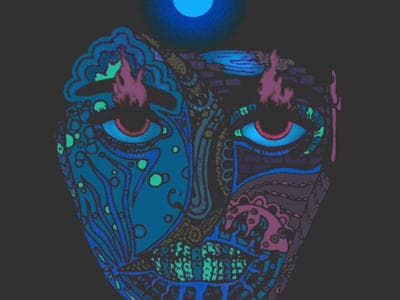 Chameleons
