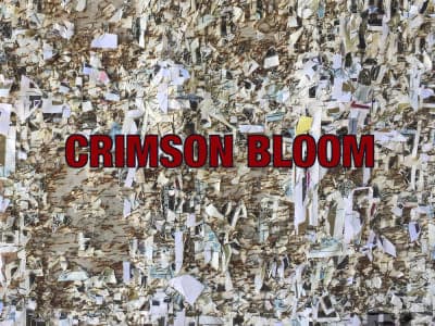 Crimson Bloom