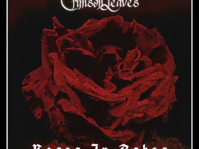 Crimson Leaves
