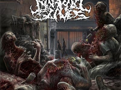 Darkall Slaves