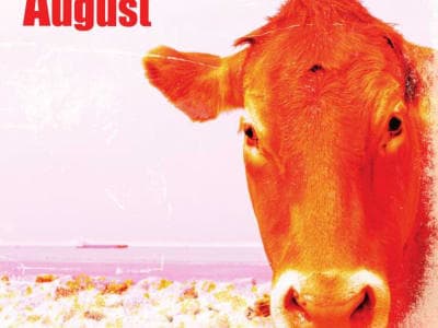 Der Dumme August