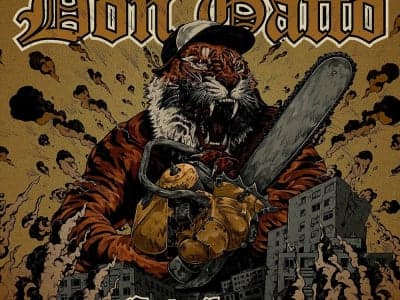 Don Gatto