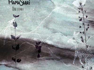 Hamasaari