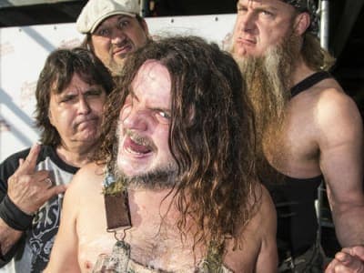 Hayseed Dixie