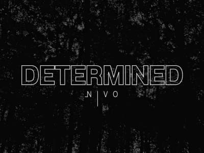 Nivo