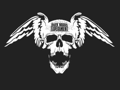 The Chuck Norris Experiment