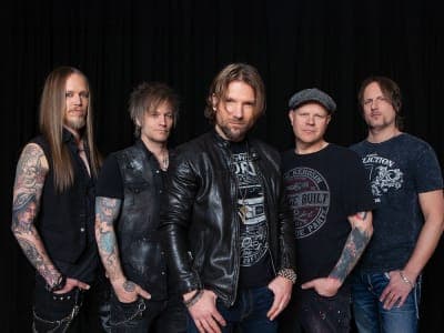 The New Roses