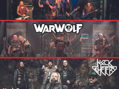 Heavy Metal Battle