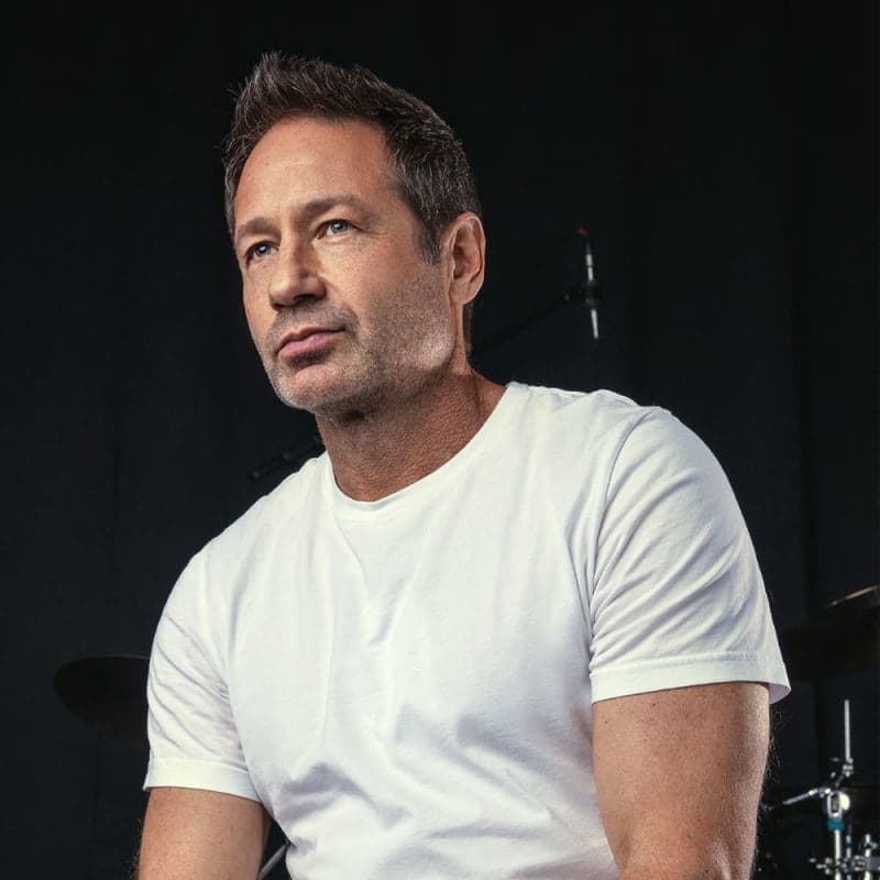 David Duchovny - Prince of Pieces Tour - Hamburg