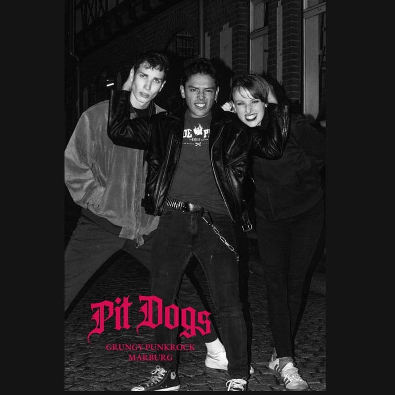 Pit Dogs
