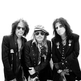 Hollywood Vampires