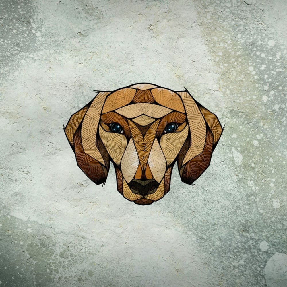 Dachshund [UK]