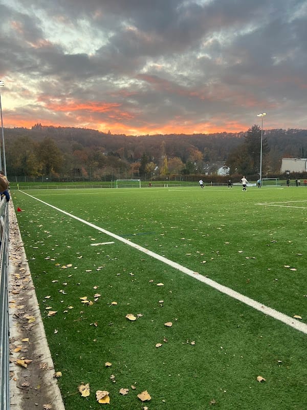 Sportplatz Am Herthasee