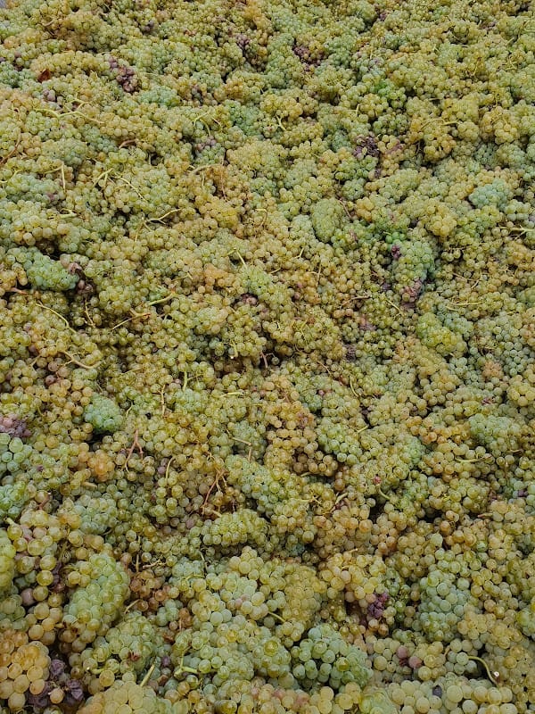 Weingut Dirk Burg