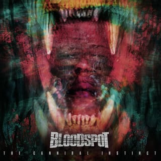 Bloodspot