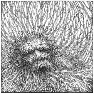 Nemorous