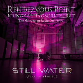 Rendezvous Point