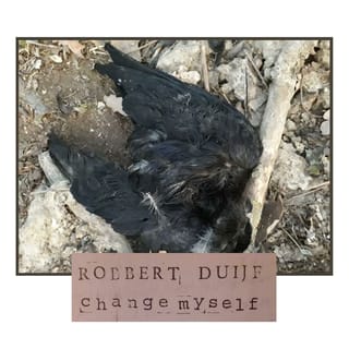 Robbert Duijf Band