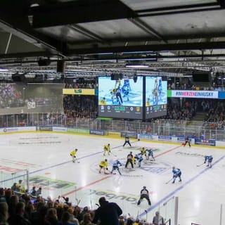 Probonio Arena