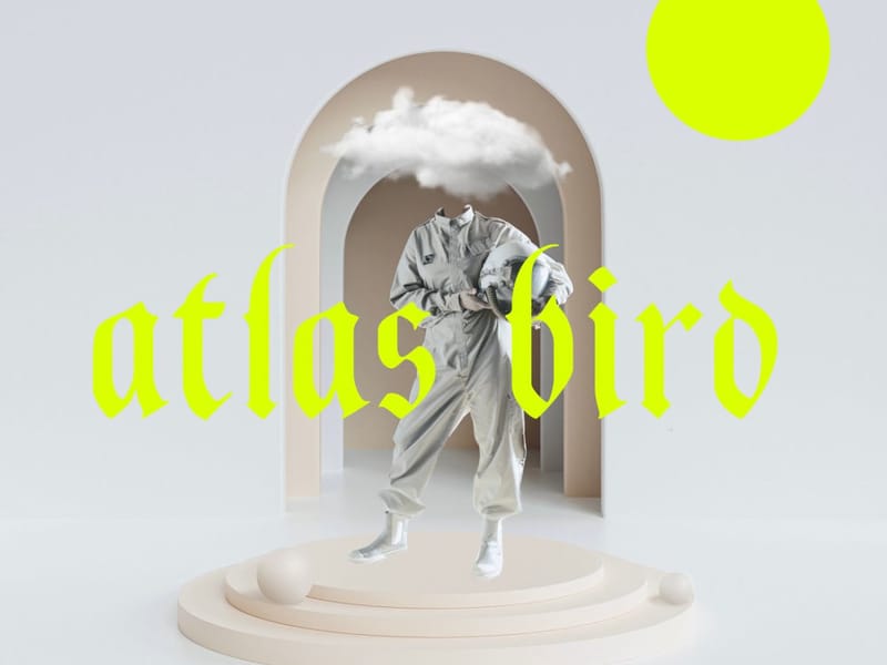 Atlas Bird