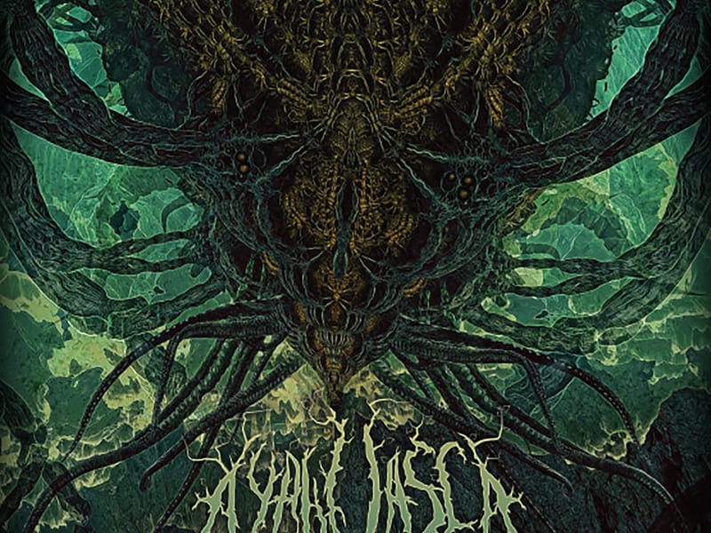 Ayahuasca