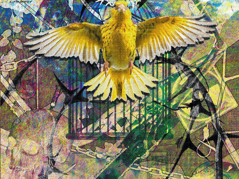 Coalmine Canary
