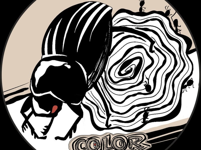Color Kid