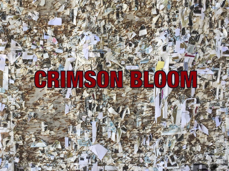 Crimson Bloom