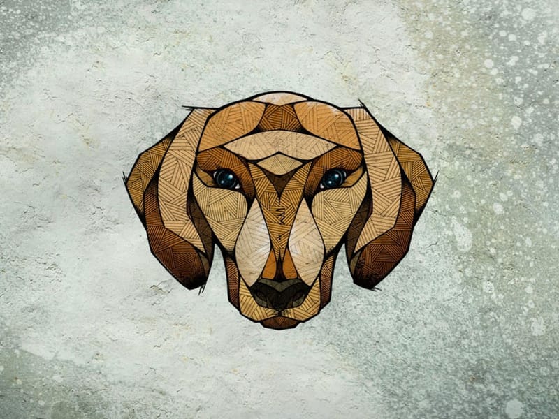 Dachshund [UK]