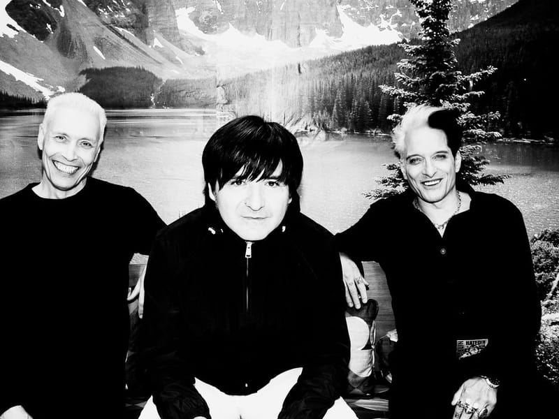 Die Ärzte