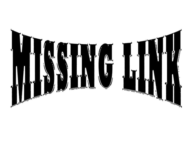 Missing Link
