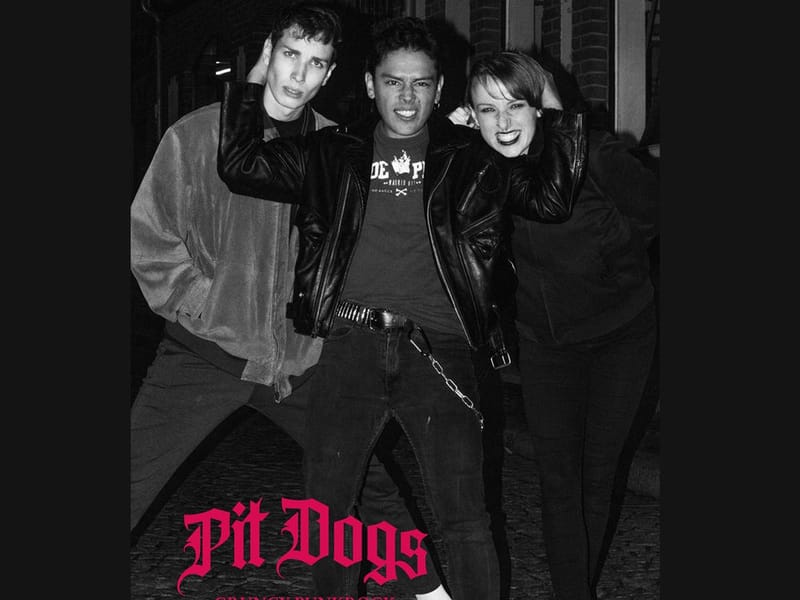 Pit Dogs