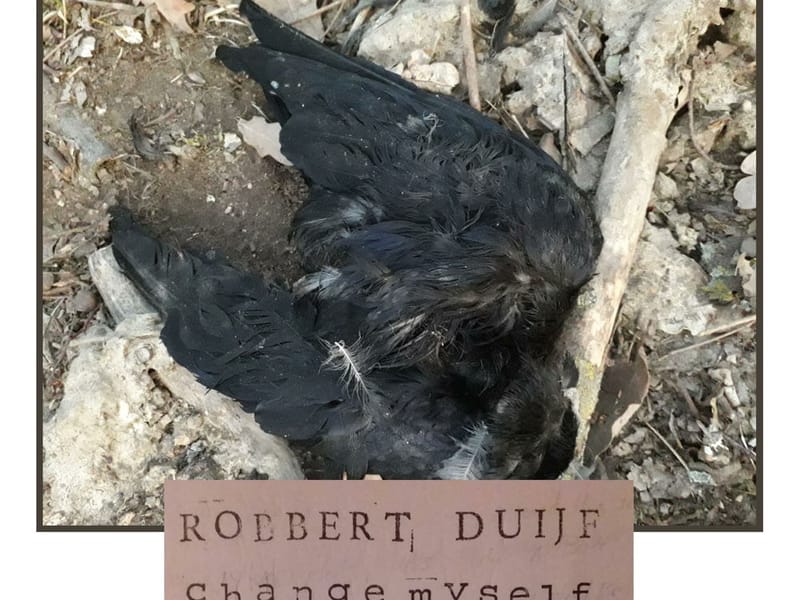 Robbert Duijf Band