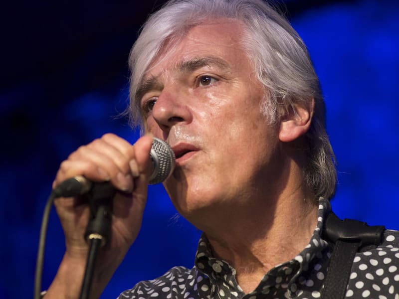 Robyn Hitchcock